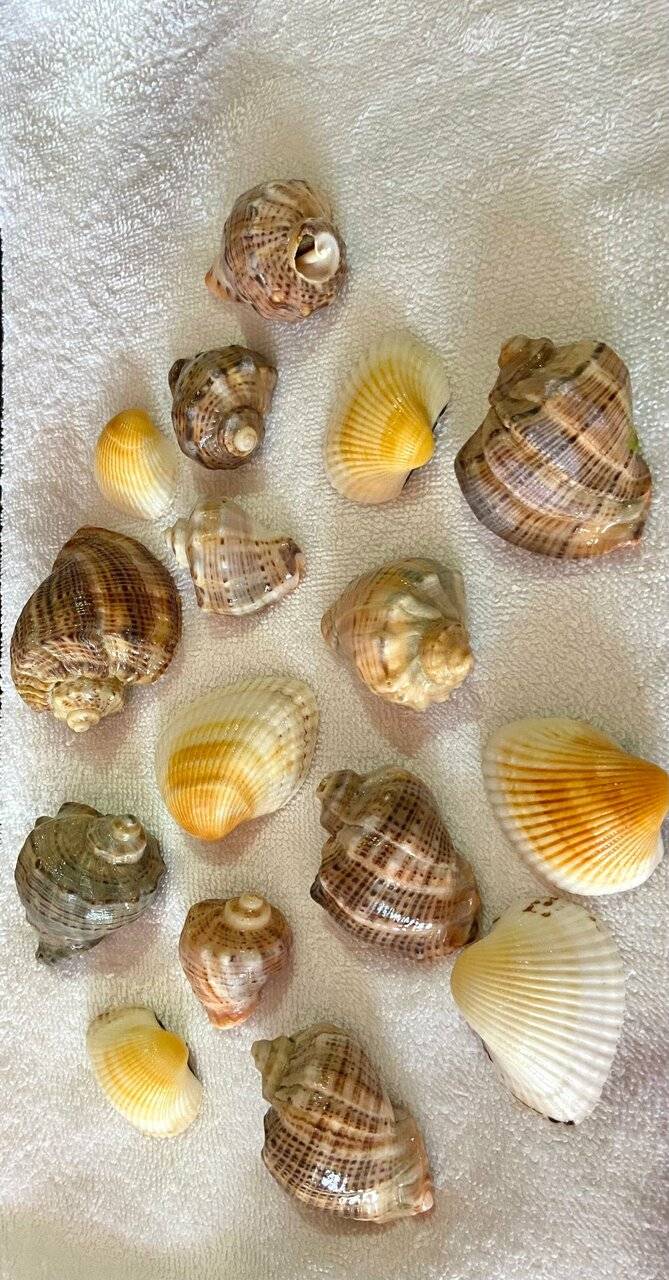 Фото Отели Омега Витязево 141